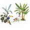 Beautiful tropical composition with hand drawn watercolor exotic jungle palm trees and animals. Toucan and monkey. Stock