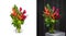 Beautiful Tropical Flower Arrangement - White or Wood Background - Modern Floral Arrangement - Florist