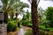 Beautiful tropical garden path