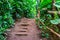 Beautiful tropical garden with walking path, natural architecture, exotic scenery