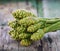 Beautiful tropical green ginger flower on wood