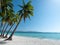 Beautiful tropical island beach with palm tree and tranquil blue water