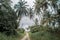 Beautiful tropical jungles landscape with sandy trail