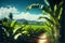 Beautiful tropical landscape with banana plantation and blue sky  Nature background