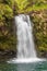 Beautiful Tropical Maui Waterfall