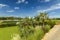 Beautiful tropical natural landscape view. Green grass field and pond water surface on blue sky with rare white clouds background.