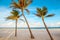 Beautiful tropical nature Florida landscape. Tall palm trees and sea ocean sand beach at sunset. Coastal seashore view with exotic