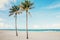 Beautiful tropical nature landscape with two tall palm trees and a sea ocean sand beach. Coastal seashore scenic view with exotic