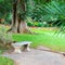 Beautiful tropical park and stone bench for relaxation.