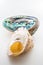Beautiful tropical sea shells Haliotis discus abalone and pearl
