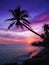 Beautiful tropical sunset