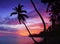 Beautiful tropical sunset