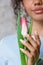 Beautiful Tulip flower in the hands of an African American woman in a blue dress. on a grey background