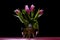 Beautiful tulip flower spring bouquet. freshness background