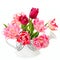 Beautiful tulips in a decorative watering can isolated on a white background