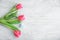 Beautiful tulips and small cotton heart on light wooden background