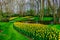 Beautiful tulips in the springtime, Keukenhof , Holland