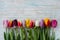 Beautiful tulips on wooden background. Free inscription top
