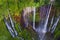 Beautiful Tumpak Sewu waterfall in rainforest