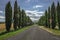 Beautiful Tuscan road with cypresses at the sides