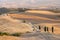 Beautiful Tuscanian landscape with dirt track sided by cypress trees