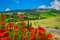 Beautiful Tuscany cityscape and blooming red poppy flowers, Pienza, Italy, Europe