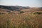 Beautiful Tuscany Landscape, Val D`Orcia