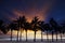 Beautiful twilight sky and dusky with silhouete coconut tree on