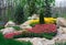 Beautiful two colored, red and white tulips flowerbed