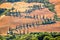 Beautiful typical landscape of Tuscany with rows of cypresses, La Foce, Tuscany Italy