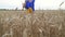 Beautiful Ukrainian woman wearing dress in Ukrainian national flag colours, blue and yellow, at wheat field in morning