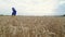 Beautiful Ukrainian woman wearing dress in Ukrainian national flag colours, blue and yellow, at wheat field in morning