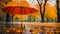 Beautiful umbrella on a background of autumn leaves style foliage protection