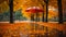 Beautiful umbrella weather color beauty a design of autumn leaves style foliage protection park