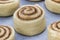 Beautiful and uncooked cinnamon buns with cinnamon