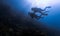 Beautiful underwater landscape and scenery with scuba divers