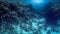 Beautiful underwater seascape of coral reef and sea bottom at the Red sea