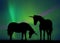 Beautiful unicorns in the northern lights