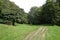 Beautiful unpaved path amid green fields and trees - green environment