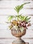 Beautiful urn planter with various tropic plants at white wooden wall background, front view. Florist and Container gardening conc