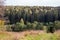 Beautiful valley and coniferous forest in the background