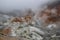 Beautiful valley of Jigokudani or "Hell Valley", located just Hokkaido Japan