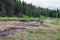 A beautiful valley in the Little Beskids in Poland. River backwaters. Mountains covered with spruce trees. Wild grass in the