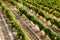 Beautiful valley in Tuscany, Italy. Vineyards and landscape