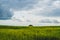 Beautiful valley. way through green meadows and hills. yellow flowering field. nature landscape with horizon