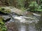 Beautiful valley of wild Doubrava river in Bohemian highlands in checz republic