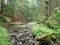 Beautiful valley of wild Doubrava river in Bohemian highlands in checz republic