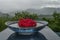 Beautiful vase of red flowers with the mountains of the Hellfire Pass in the background, Kanchanaburi province, Thailand