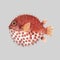 Beautiful vector artwork with very cute watercolor hedgehog fish. Stock illustration. Sea life.