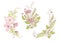 Beautiful vector bouquets, wild flowers. Compositions for wedding decor, spring pastel color